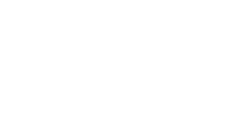 msd custom works